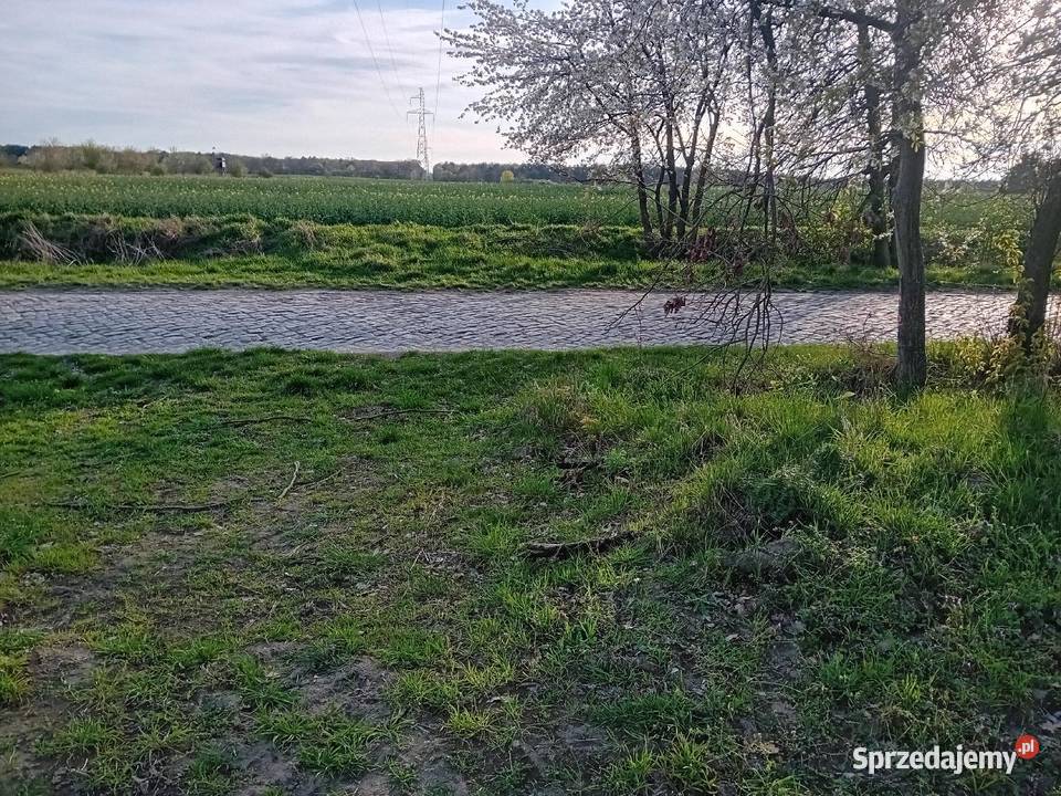 Binowodziałka rolnobudowlana o pow4150m2 z MPZP Binowo sprzedam
