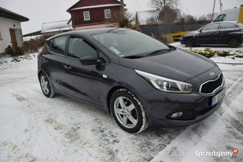 Kia Ceed 14B 2014r 107 Oryginał Lakier 2 KPL KÓŁ Majdan Sieniawski