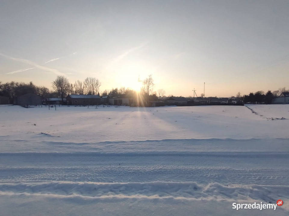 sprzedaży działki 2397 metrów Wojciechów sprzedam