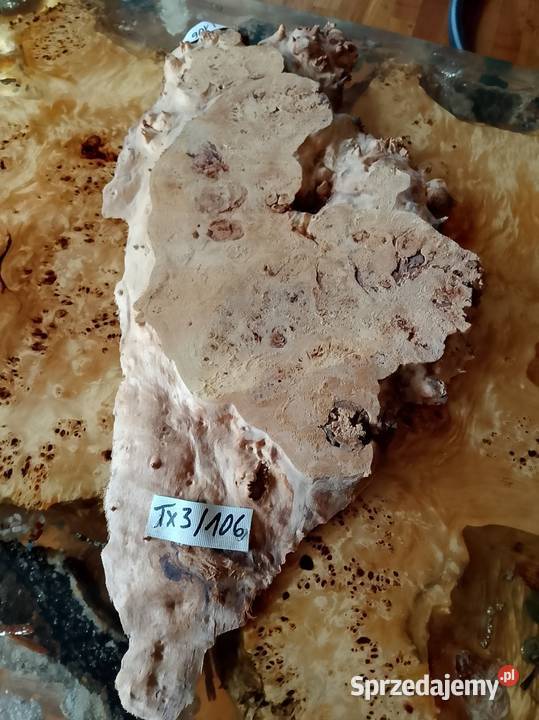 Topola czeczot plaster deska Przybory kuchenne Nowy Tomyśl