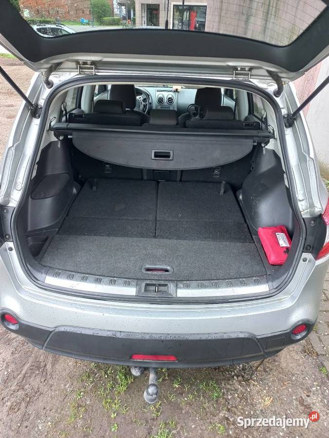 Tzsis nieuszkodzony Gubin