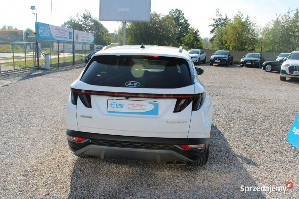 Hyundai Tucson 16 TGDi 2WD 48V 150 Executive serwisowany w ASO Warszawa sprzedam