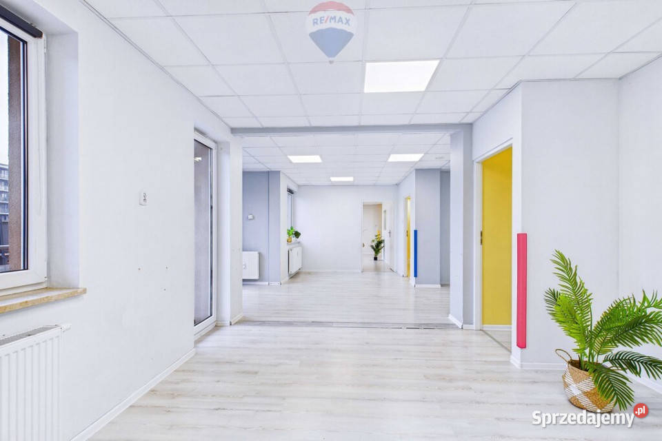 Na sprzedaż lokal usługowy pow 14461 m Zielona Góra