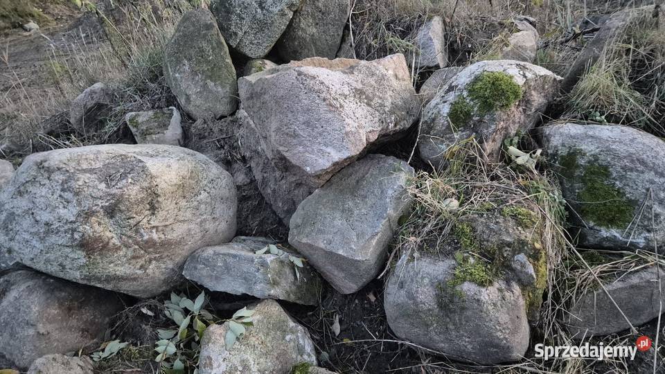 Kamień polny Skrybicze