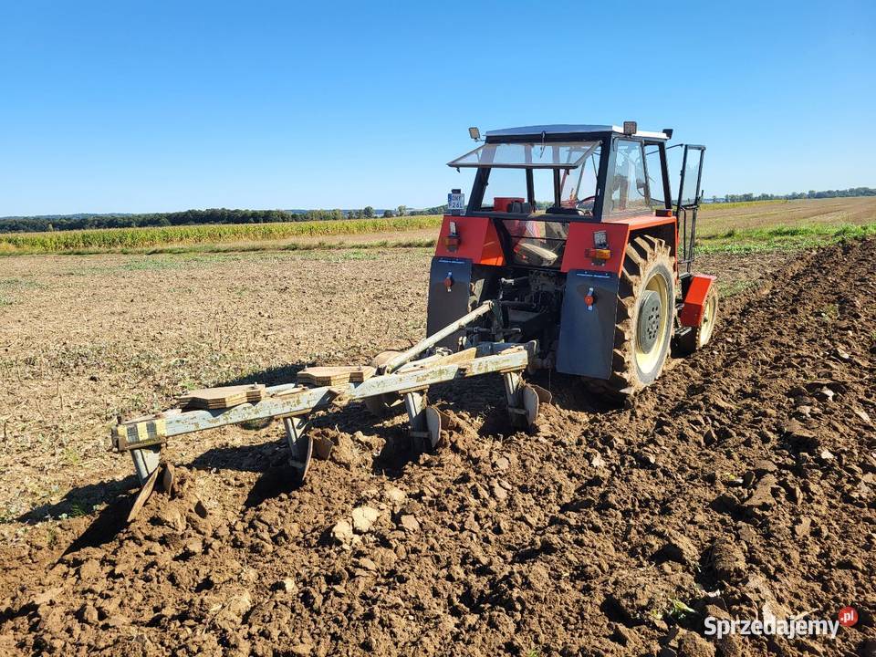 Zetor 8011 Ursus opolskie
