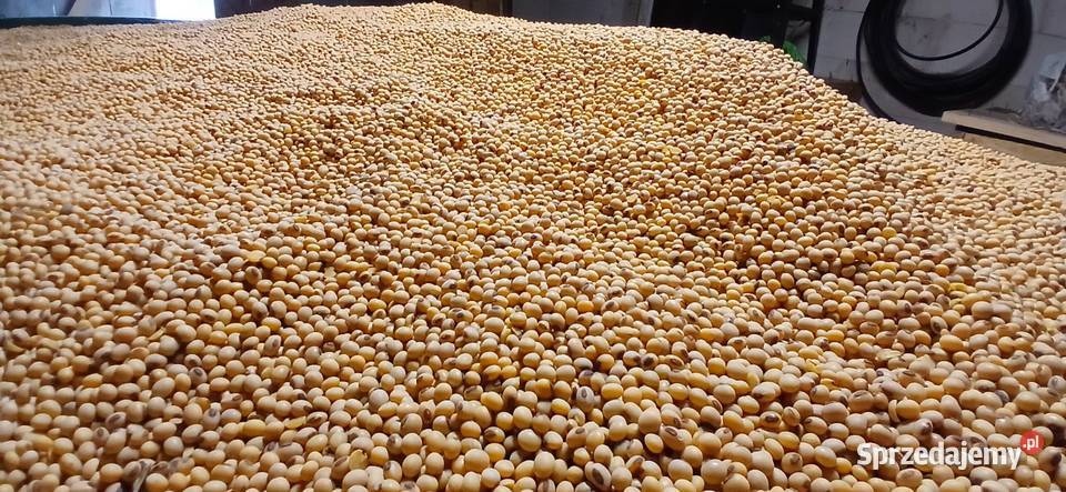 Soja Aurelina Markuszowa