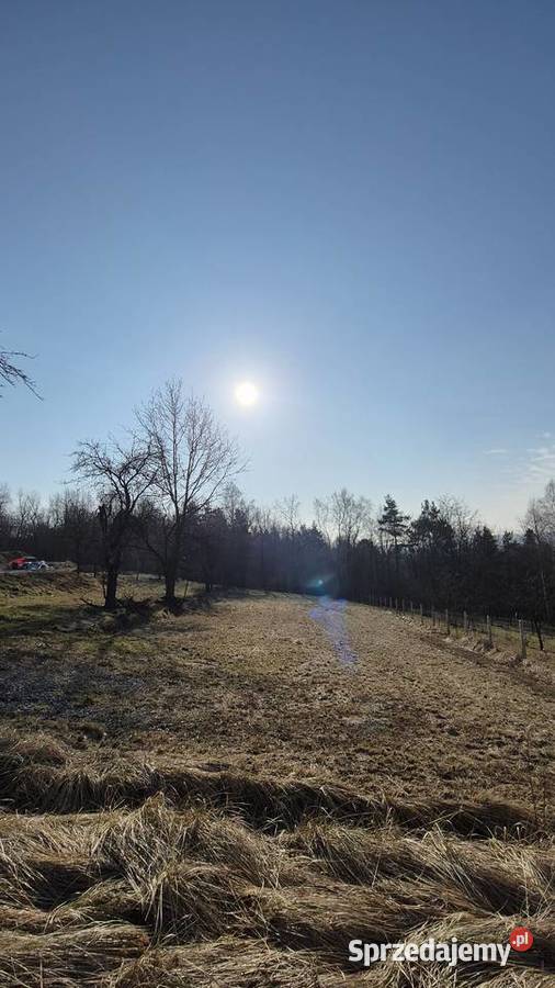 Działka budowlana 20a Tyczyn Lasek WZ