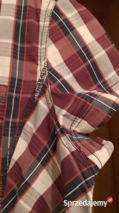 Bluzka damska marki Cecil Częstochowa