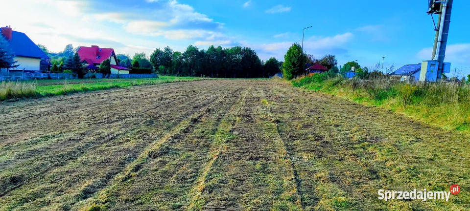 Działka Zaborze 3000m2 Grunty i działki