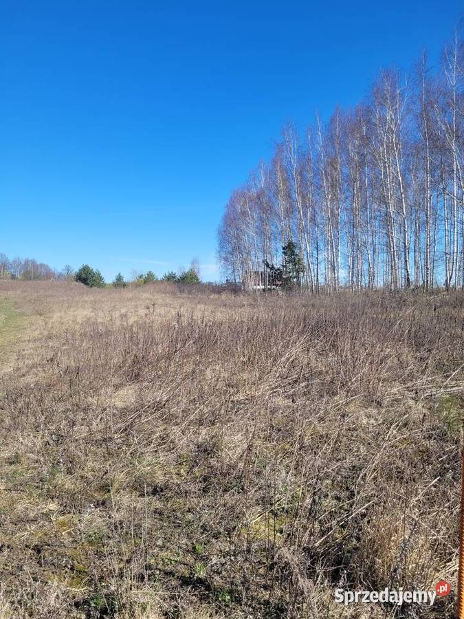 Działka z warunkami zabudowy w LubiewieMikołajki Sprzedaż warmińsko-mazurskie Lubiewo