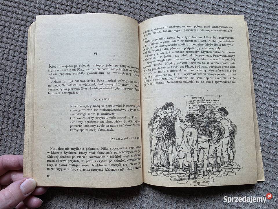 Chłopcy z Placu Broni Ferenc Molnr Kraków sprzedam