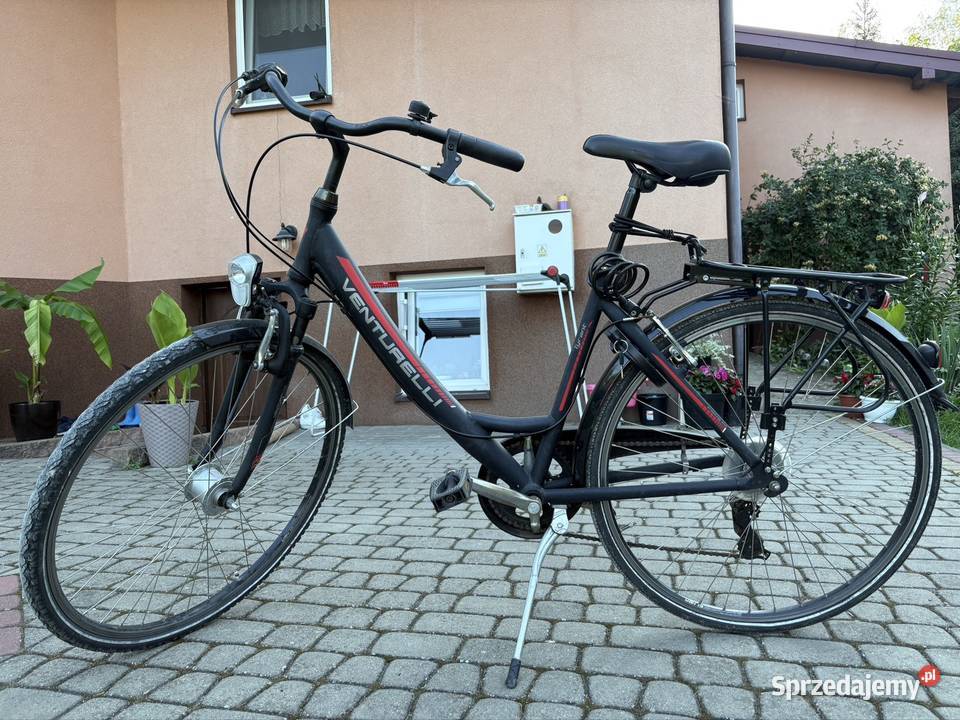 Damka venturelli Bałtów sprzedam