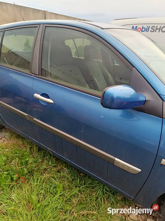 Renault Megane 2 II wszystkie części 19 dci Rok produkcji 2002 Biskupice Ołoboczne