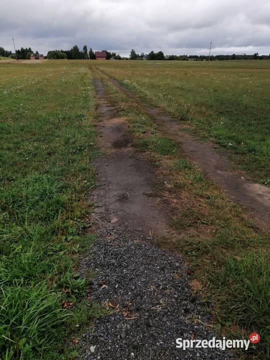 Syndyk sprzeda udział 16 w działkach Jędrzejów Jędrzejów Nowy sprzedam