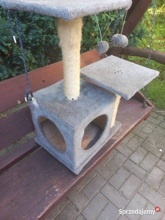 Drapak kota Dla kotów