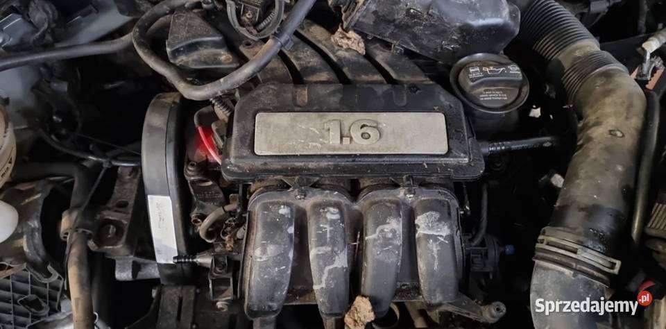 Silnik 16 8V BGU VW Touran Golf V AUDI A3 SEAT osobowe Bodzentyn