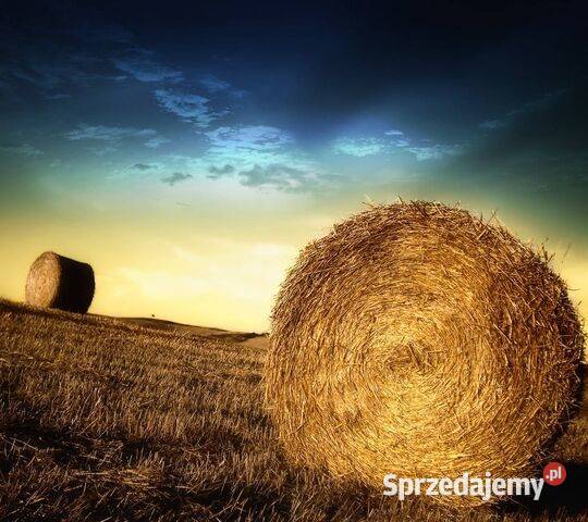 Słoma bele słomy Łysiny