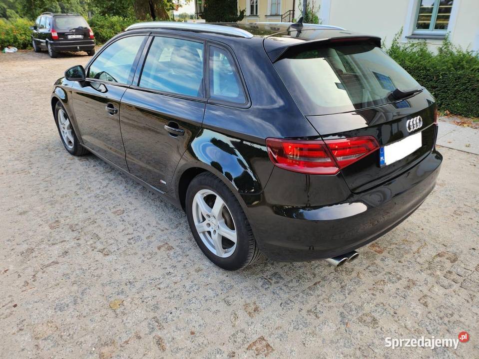 Audi a3 8v 20 TDI sportbeck 125 przebiegu dolnośląskie Brzeg Dolny