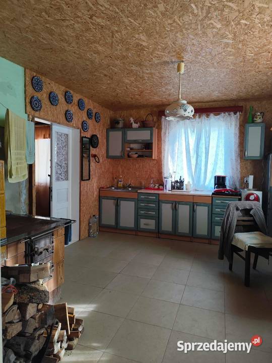 Siedlisko w lesie podkarpackie