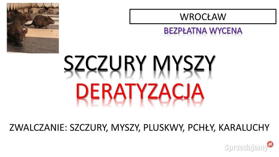 Odszczurzanie domu budynku Wrocław deratyzacja Zwalczanie szkodników, deratyzacja