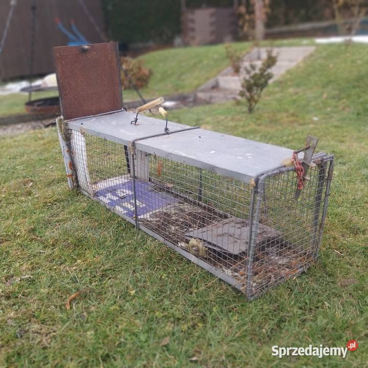 Żywołapka lis kuna wydra Makowica