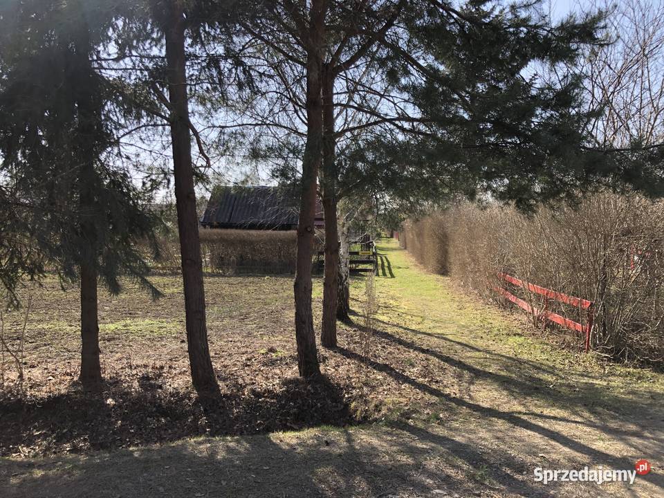 Działka ROD Zalesie Rzeszów