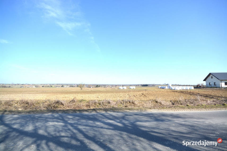 Grunt 1280m2 Skrzynice Pierwsze