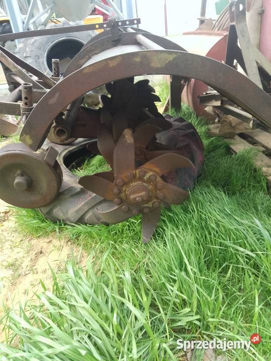 Glebogryzałka nieuszkodzony Lisia Góra sprzedam