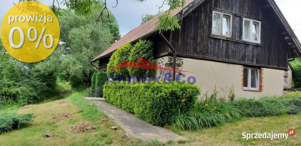 Dwa domy gotowy biznes Strzelniki sprzedam