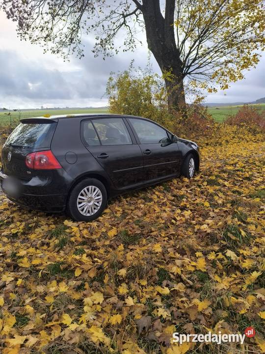 Sprzedam Golf 19 TDI 90 koni Golf Trzcianka