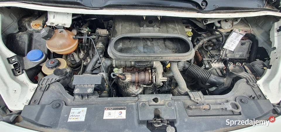 Peugeot Expert 2016 Nowy Rozrząd klimatyzacja 16 Mostki sprzedam