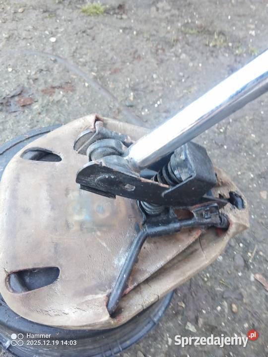 Komar sztywniak DKWNSU małopolskie Wierzchosławice