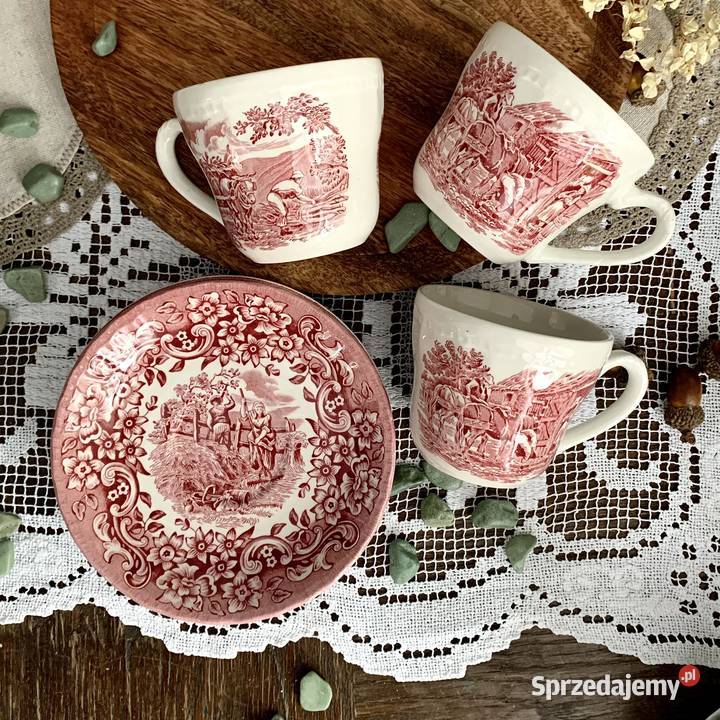 Filiżanki Royal Tudor Ware różowa porcelana