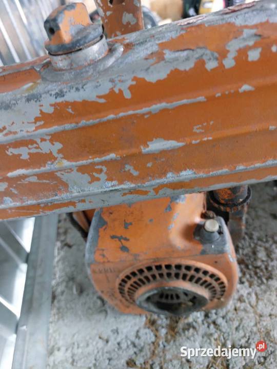 pilarka tajga ruska Nowy Sącz sprzedam