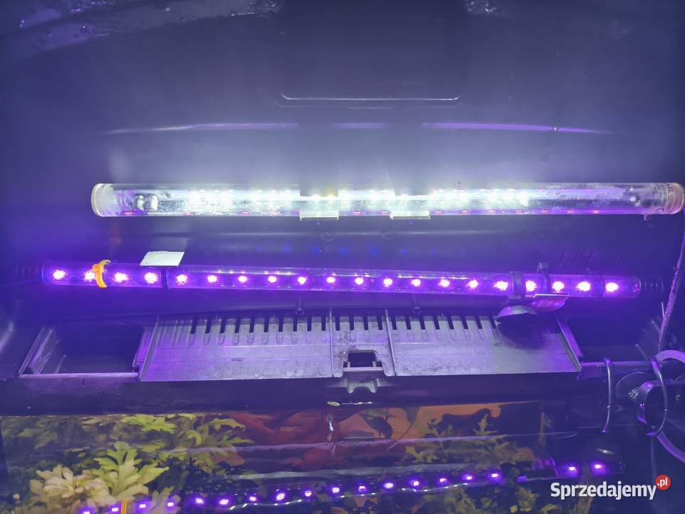 Akwarium zestaw 72l dolnośląskie Wałbrzych