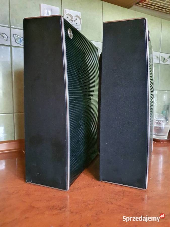 Stare kolumny Sony Passive Radiator Speaker Łódź