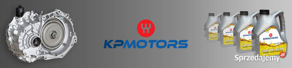 Mechatronika sterownik komputer skrzyni biegów Poznań