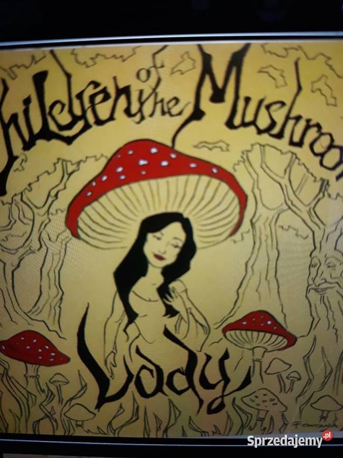 Archiwum psychodelic rocka CHILDREN OF THE Rzeszów sprzedam