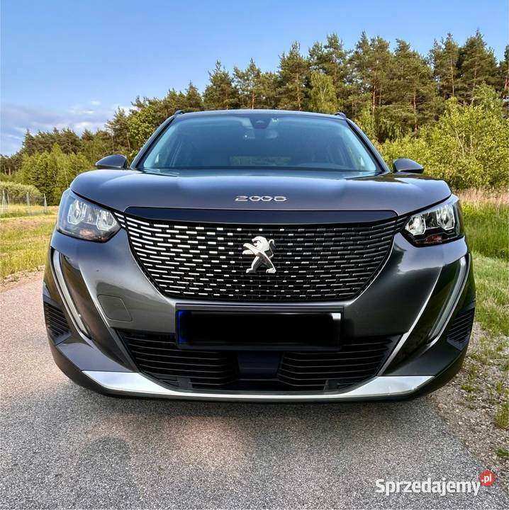 Peugeot 2008 ASR (kontrola trakcji) 2008 Olchowa