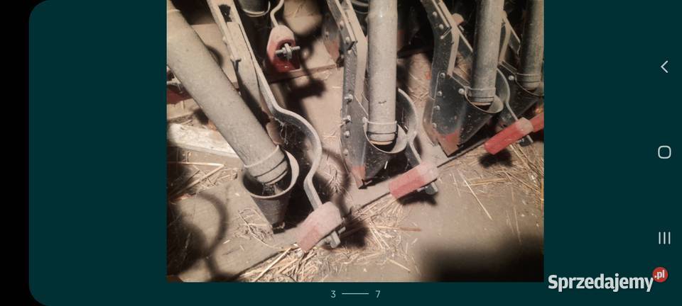 Siewnik Poznaniak Jaksin