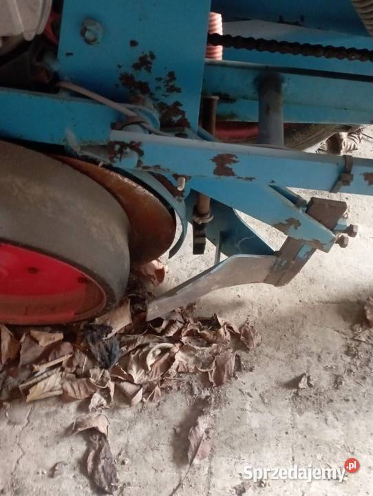 Siewnik Momosem Kalinówka