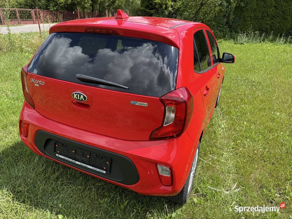 Kia Picanto 19r 12 b bogate wyposażenie dream kamera cofania