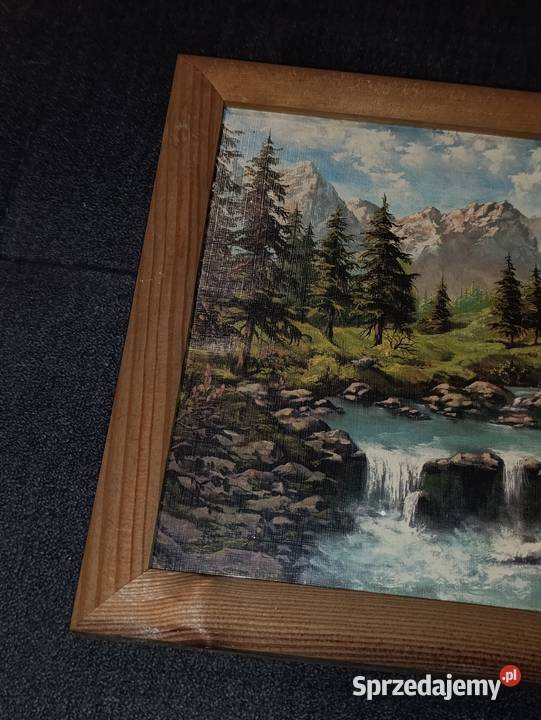 obraz ścienny górski potok Poznań sprzedam