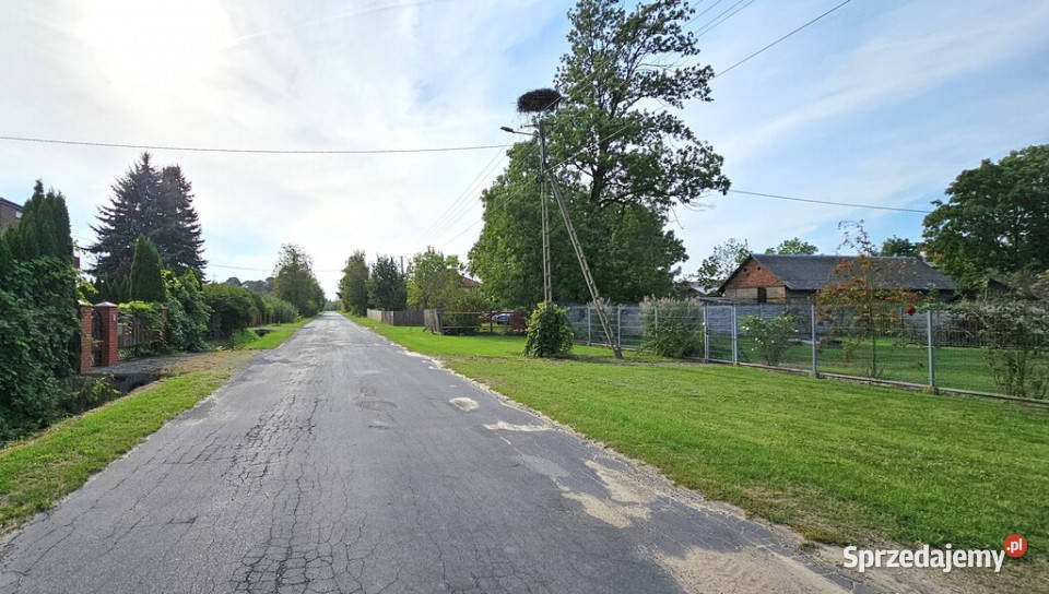 Budynki gospodarcze z dużą działką Kolonia Gołąb asfalt Gołąb-Kolonia