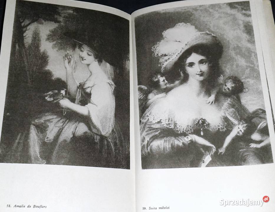 Błękitny kwiat Janina KamionkaStraszakowa