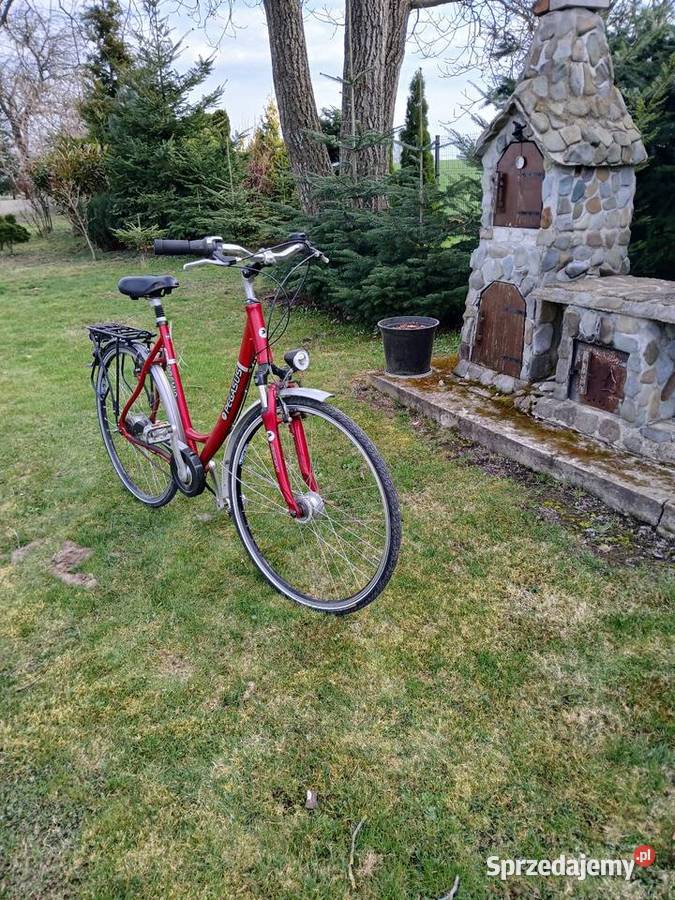 Rower Pegasus Miejskie Opatów
