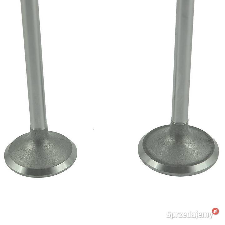 Zawory silnika Toyosha S111P126 Hinomoto Tajęcina