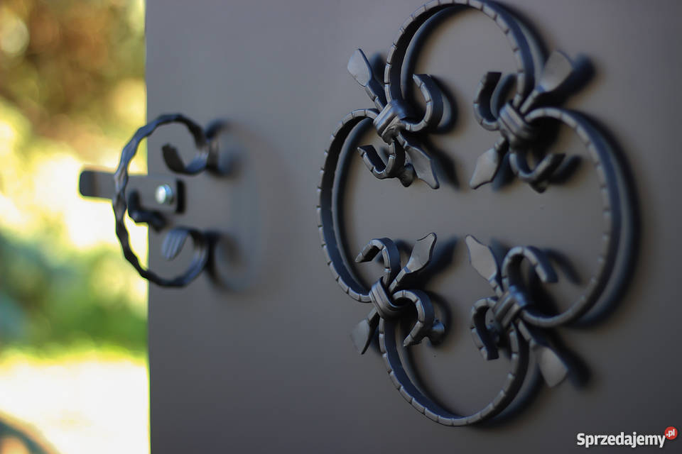 Wędzarnia Grill BBQ Smoker Wedzarnia Blacha 3 mm Trzebież sprzedam