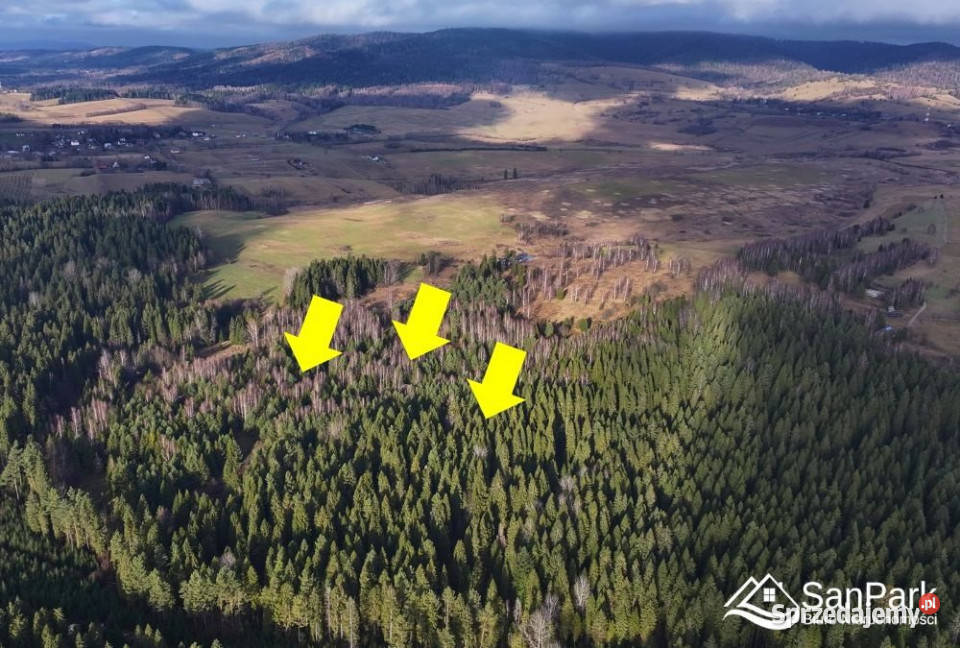 Działka Czarna 11400m2