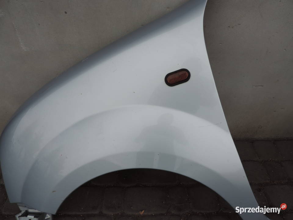 RENAULT KANGOO 1 BŁOTNIK LEWY PRZÓD TEB64 małopolskie Nowy Sącz